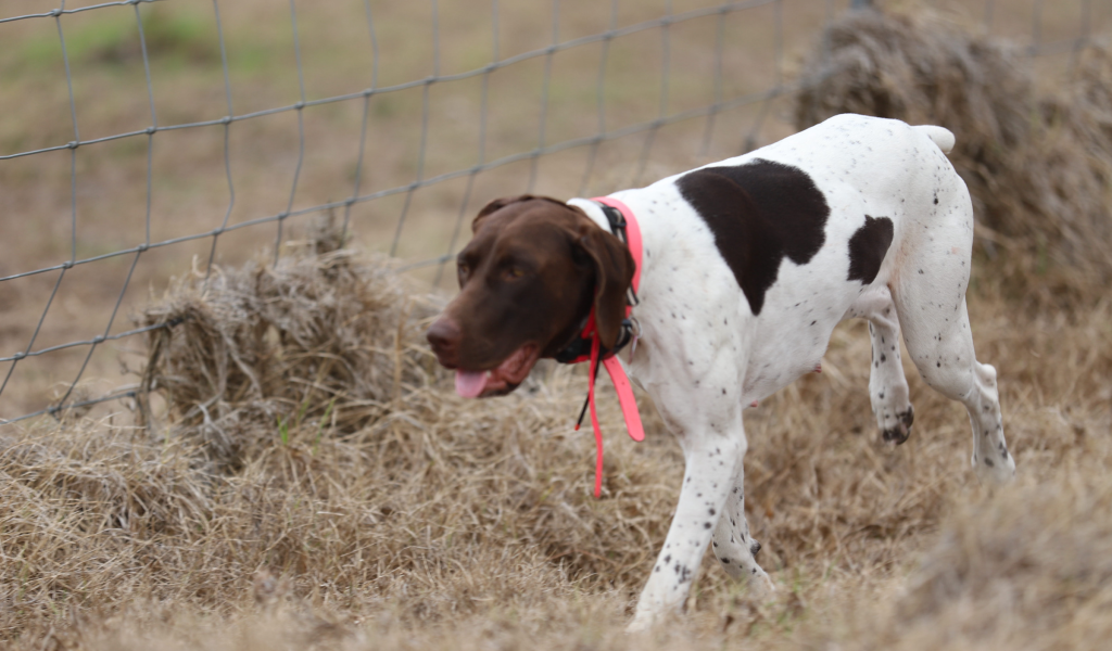 image4.webp
